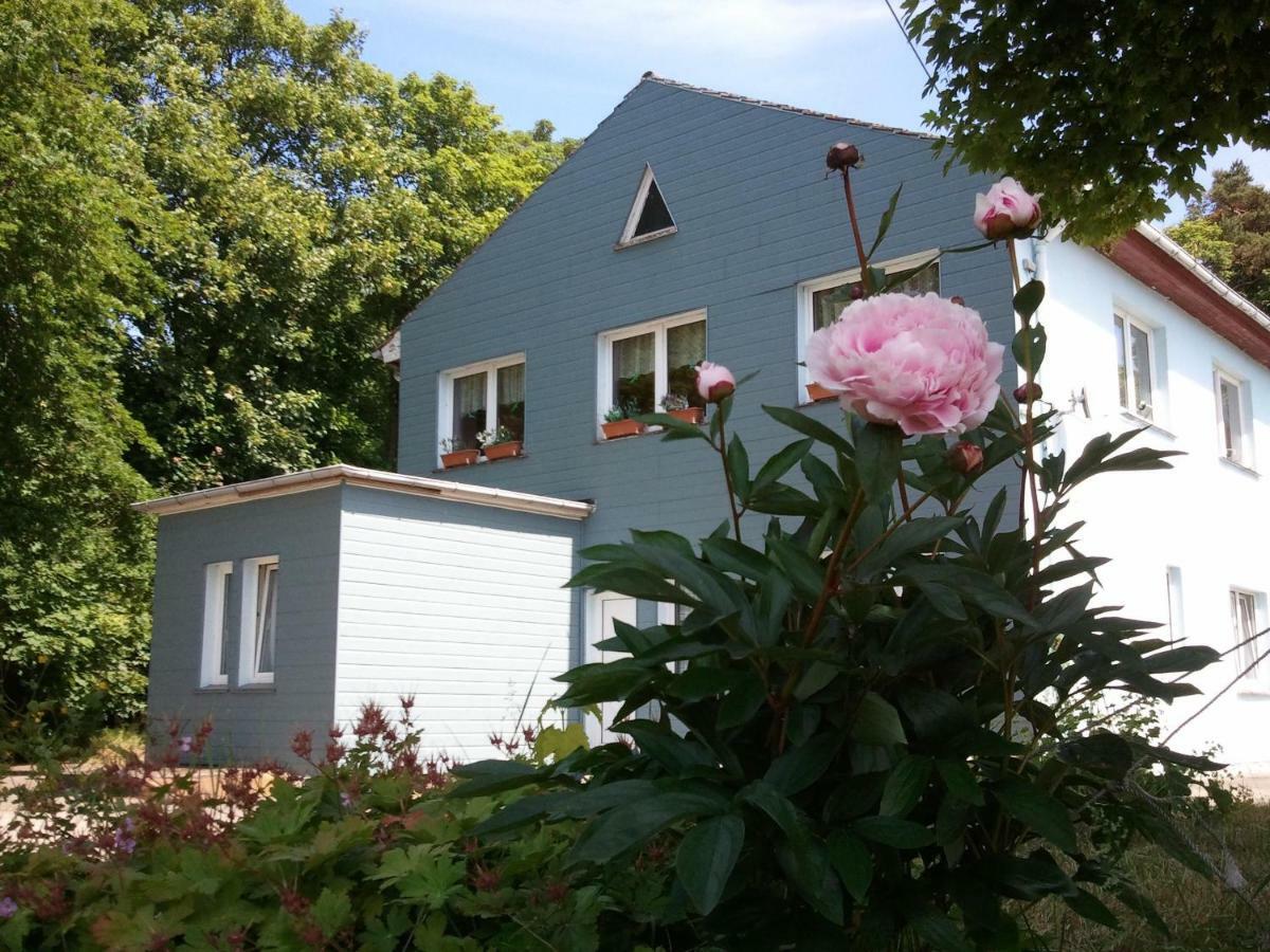 Gasthof Blaues Haus Hotell Bastorf Exteriör bild